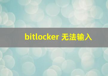 bitlocker 无法输入